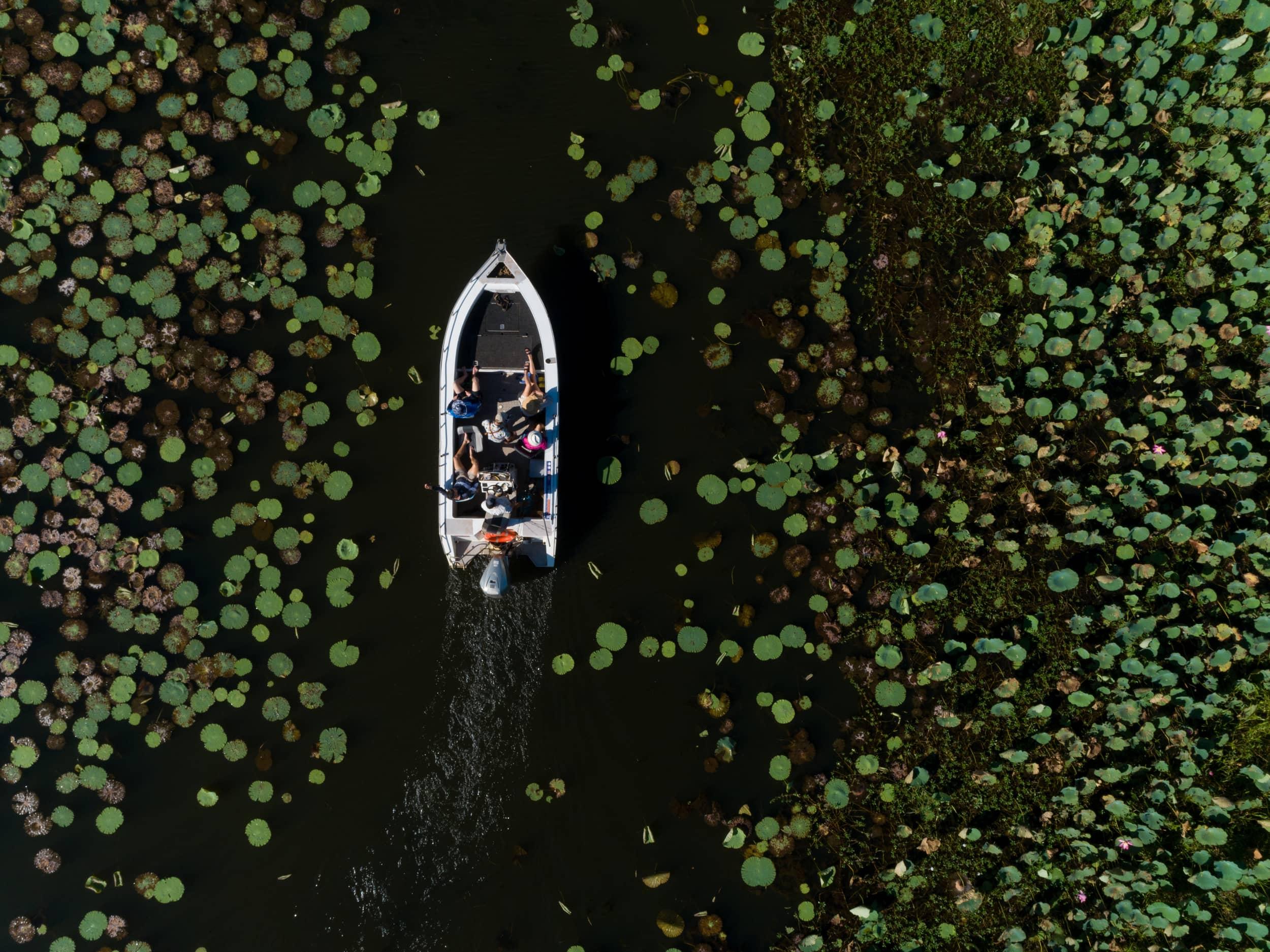 Aerial view of dinghy on estuary