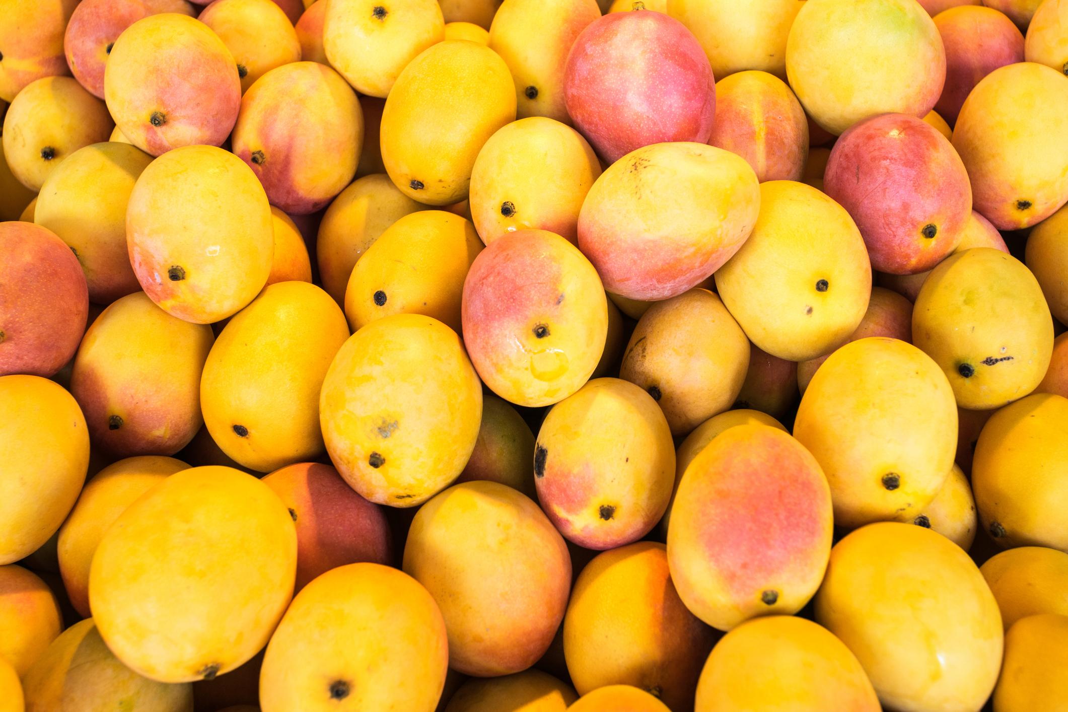 A colourful collection of mangoes